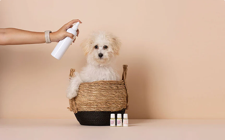 Pet cleaning spray bottle